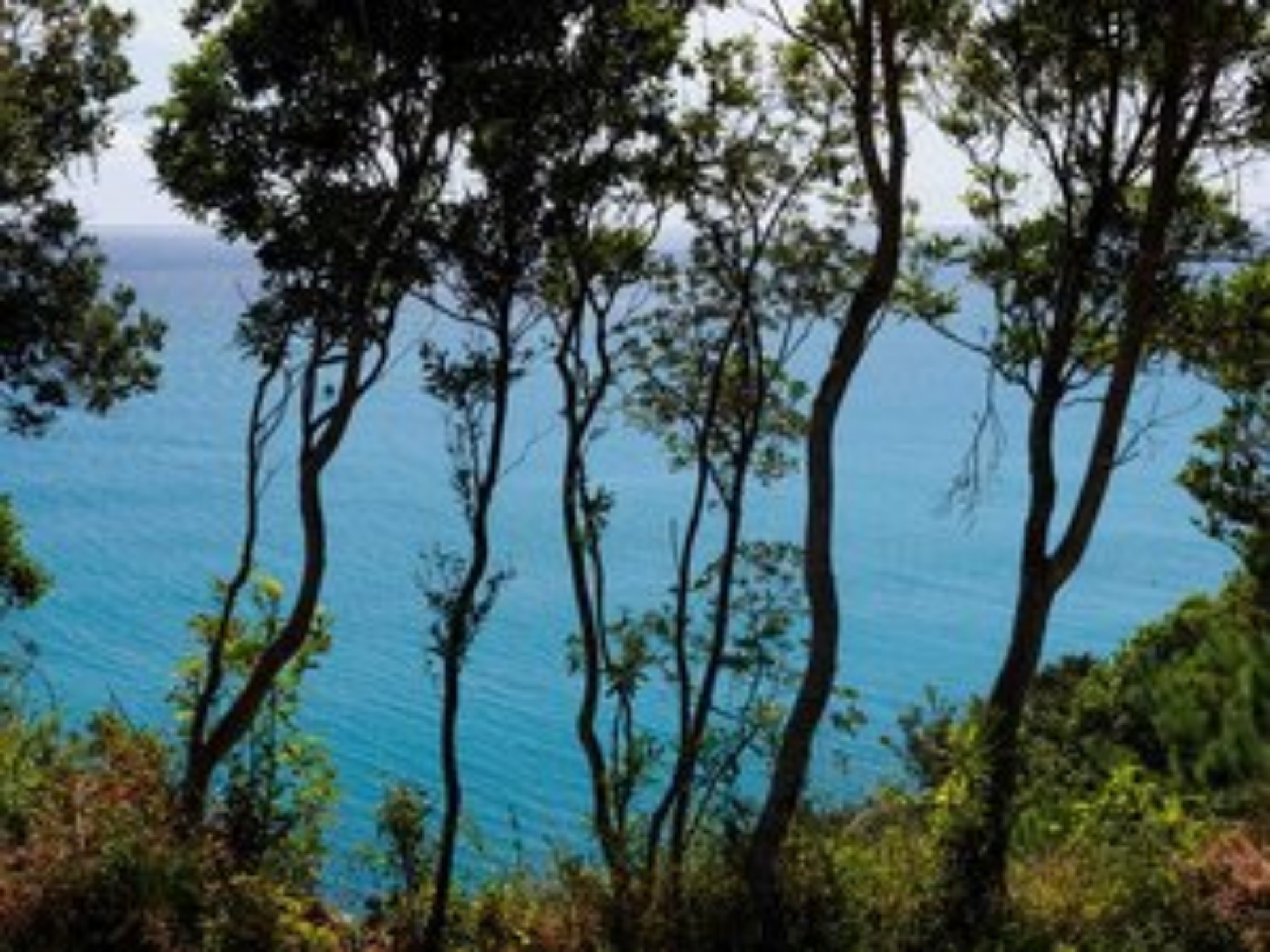 ナミテラス芸西 のnull