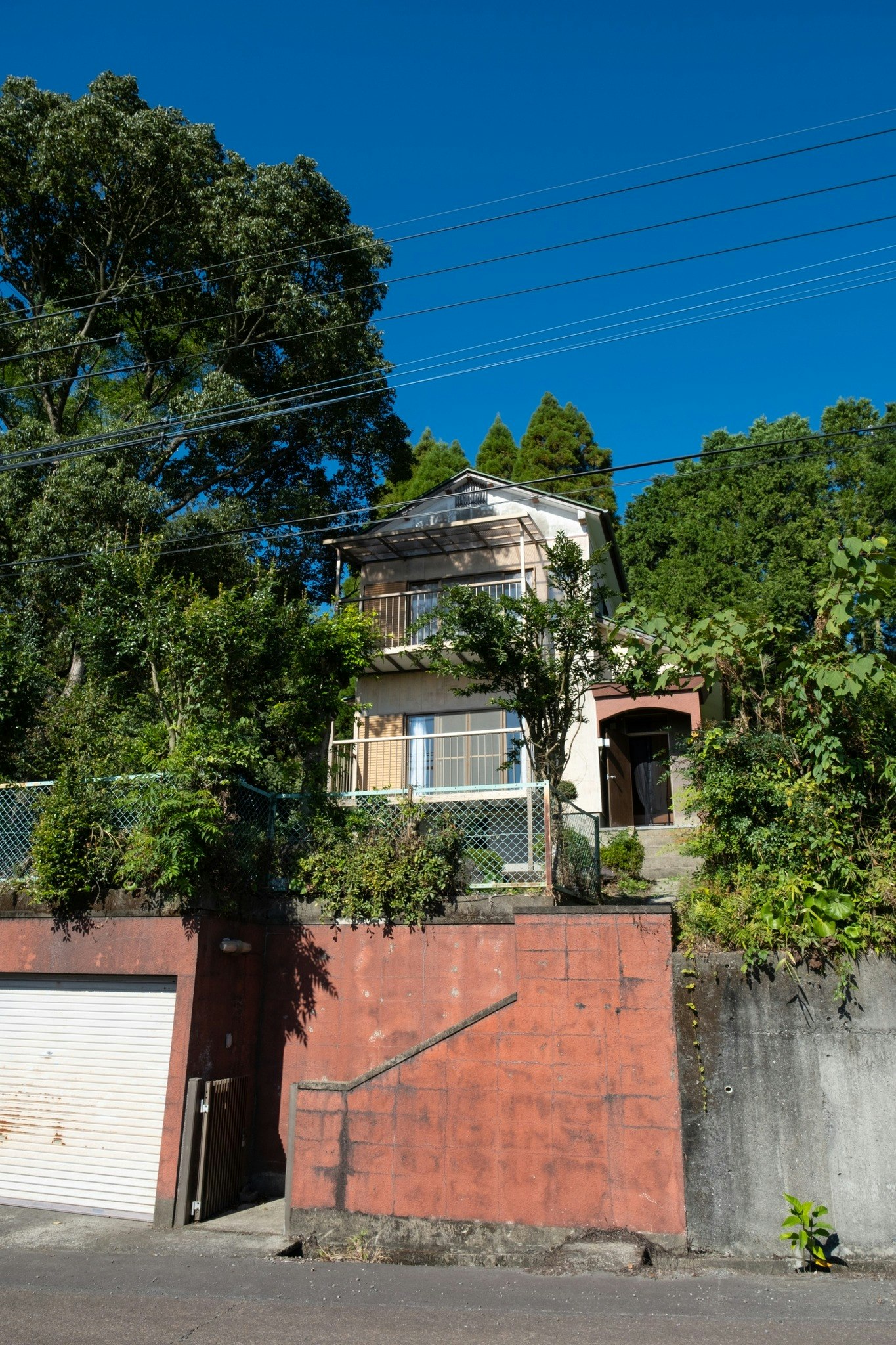 【1日1組限定】天然温泉×霧島の絶景!自然に囲まれた宿で癒しの旅を