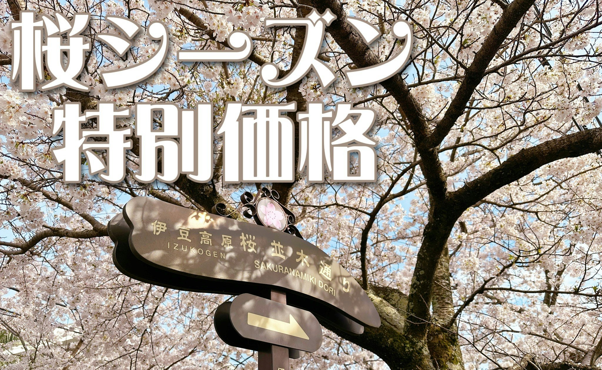 自然に囲まれた伊豆高原の一棟貸し別荘|伊豆大島と天城山ビュー!嬉しいテラス付【GOOD WIND】