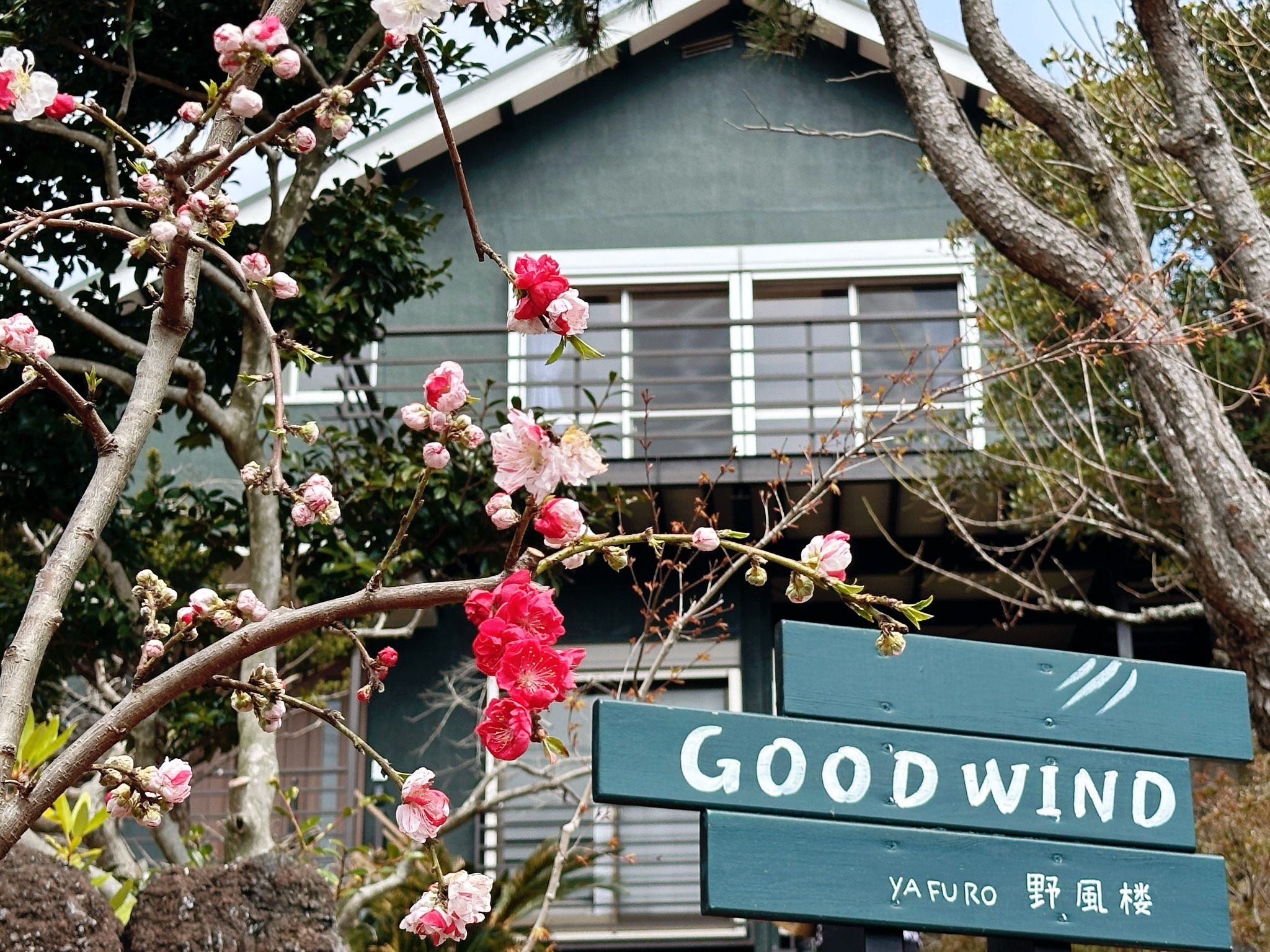 自然に囲まれた伊豆高原の一棟貸し別荘|伊豆大島と天城山ビュー!嬉しいテラス付【GOOD WIND】