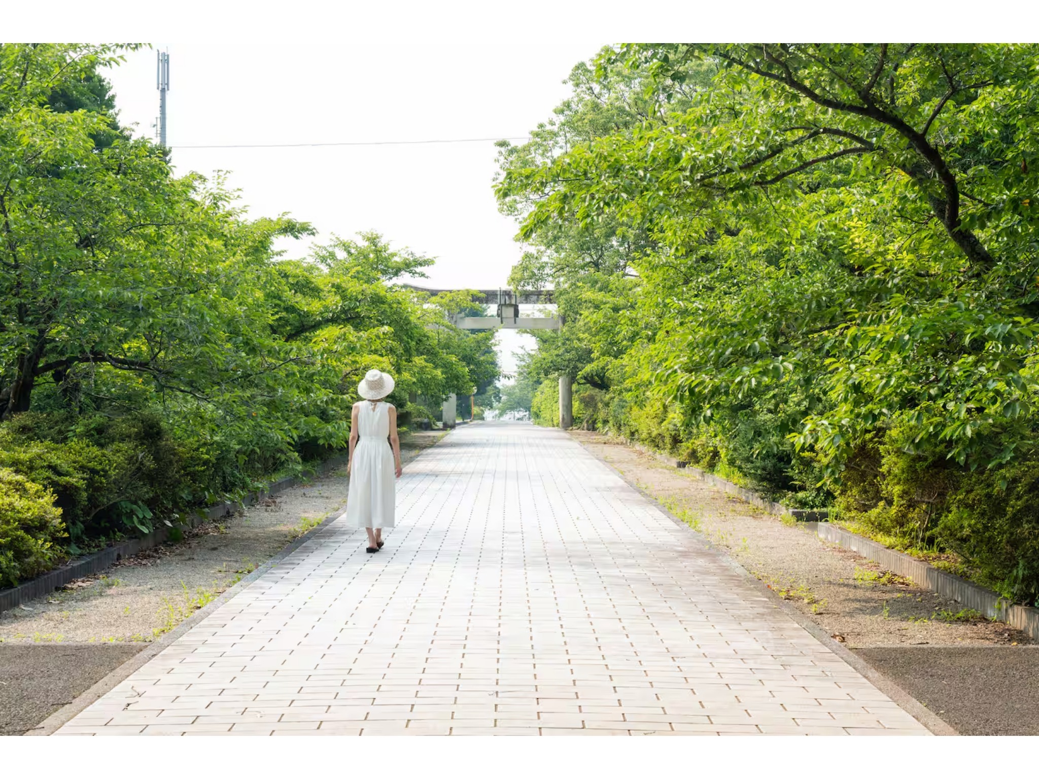 一棟貸し|情緒ある港町の街道に泊まる