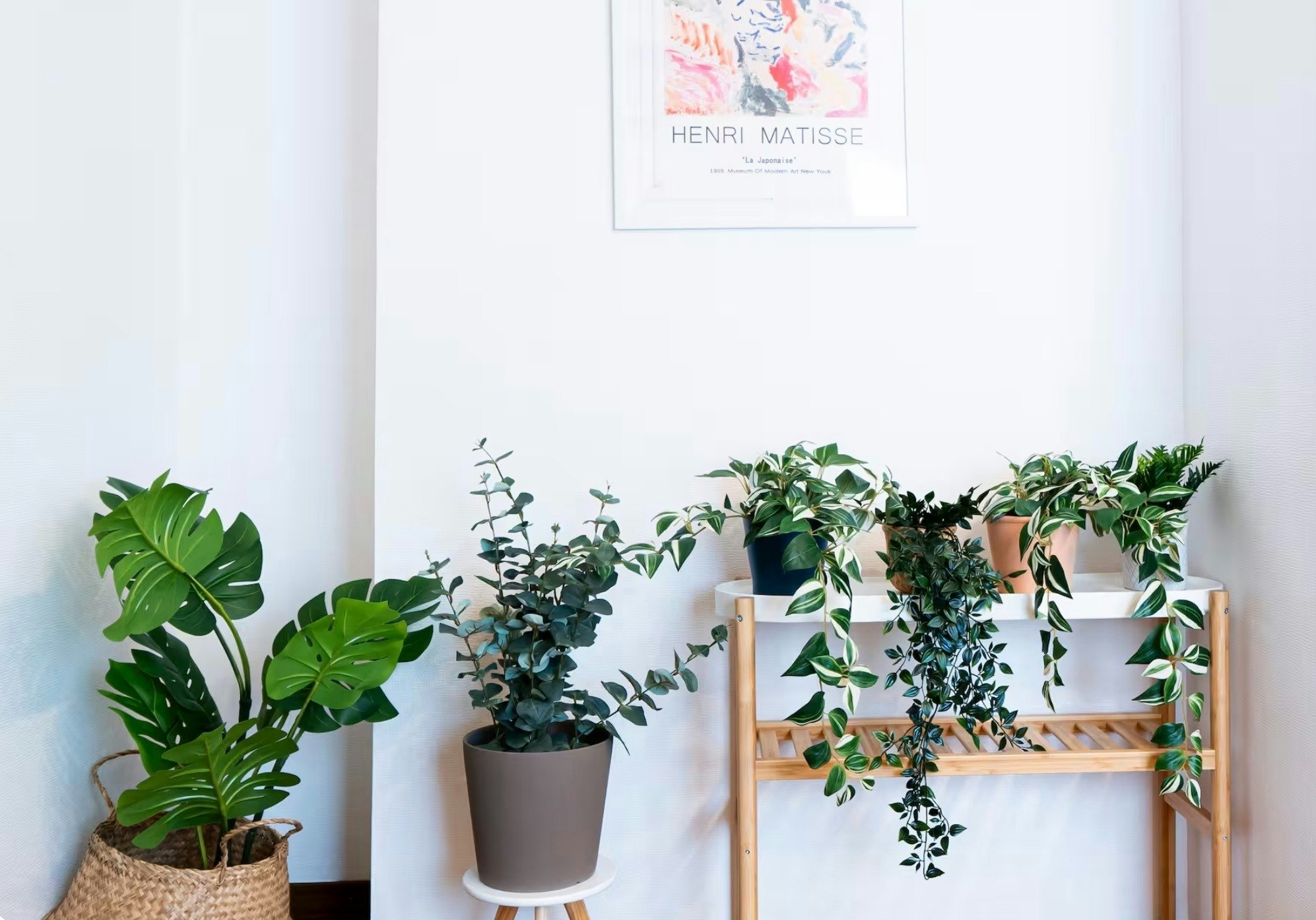 最大16名/駐車場2〜3台無料/大画面ゲーム&映画鑑賞/札幌中心部まで車で10分