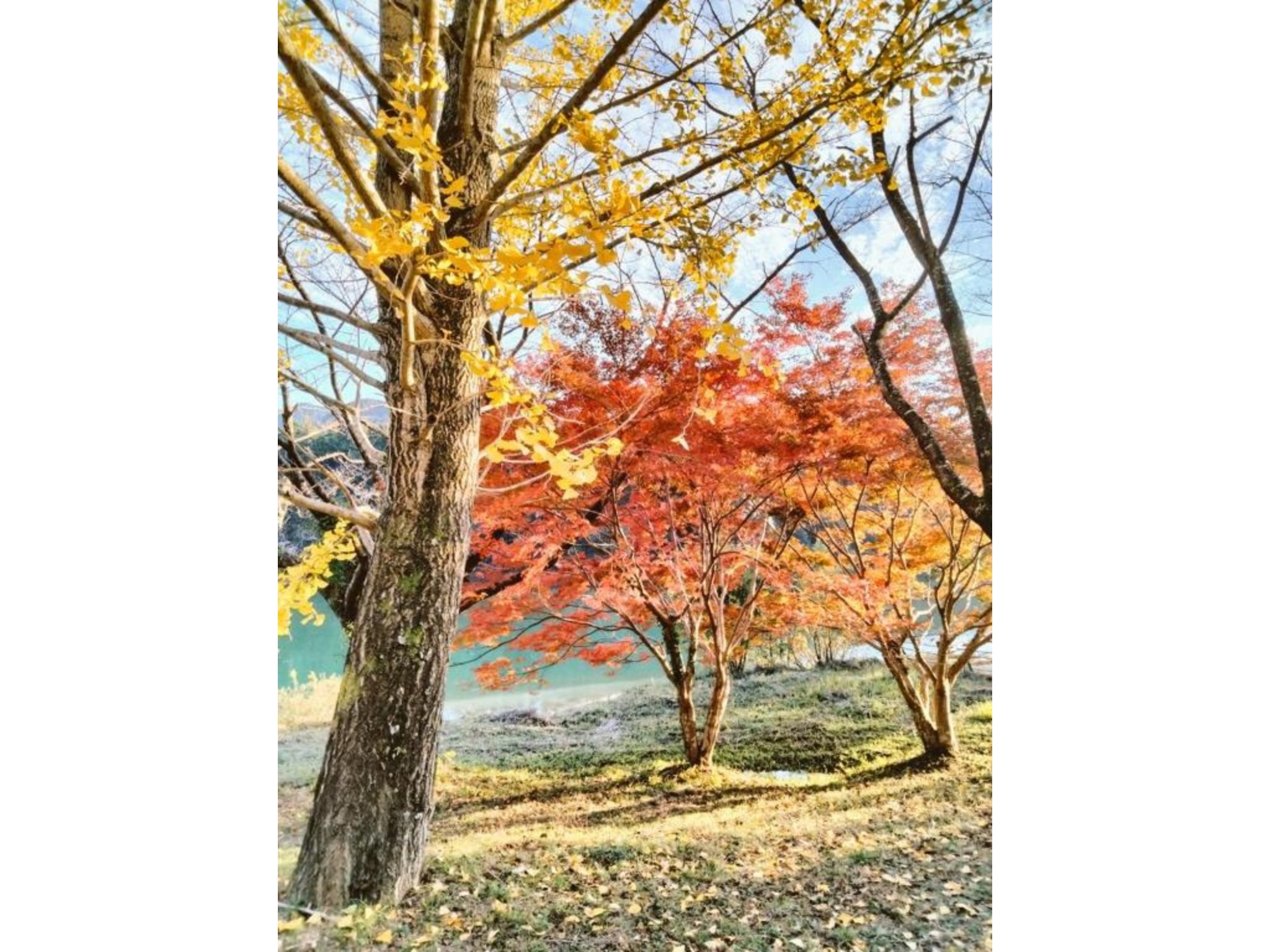 民泊ゆとろぎ/民泊のnull