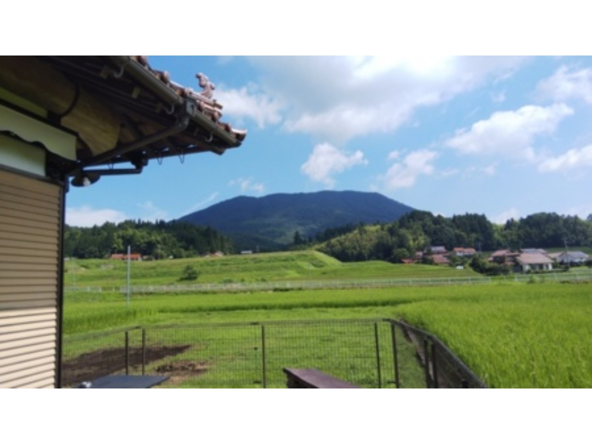 あさねこロッジ のnull