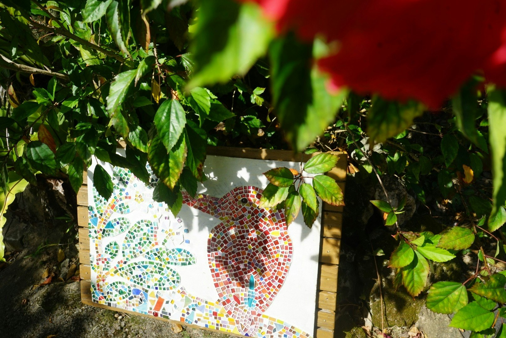 自然に囲まれた一棟貸し宿/マンゴーや島バナナの木、琉球古民家を眺められ島暮らし気分