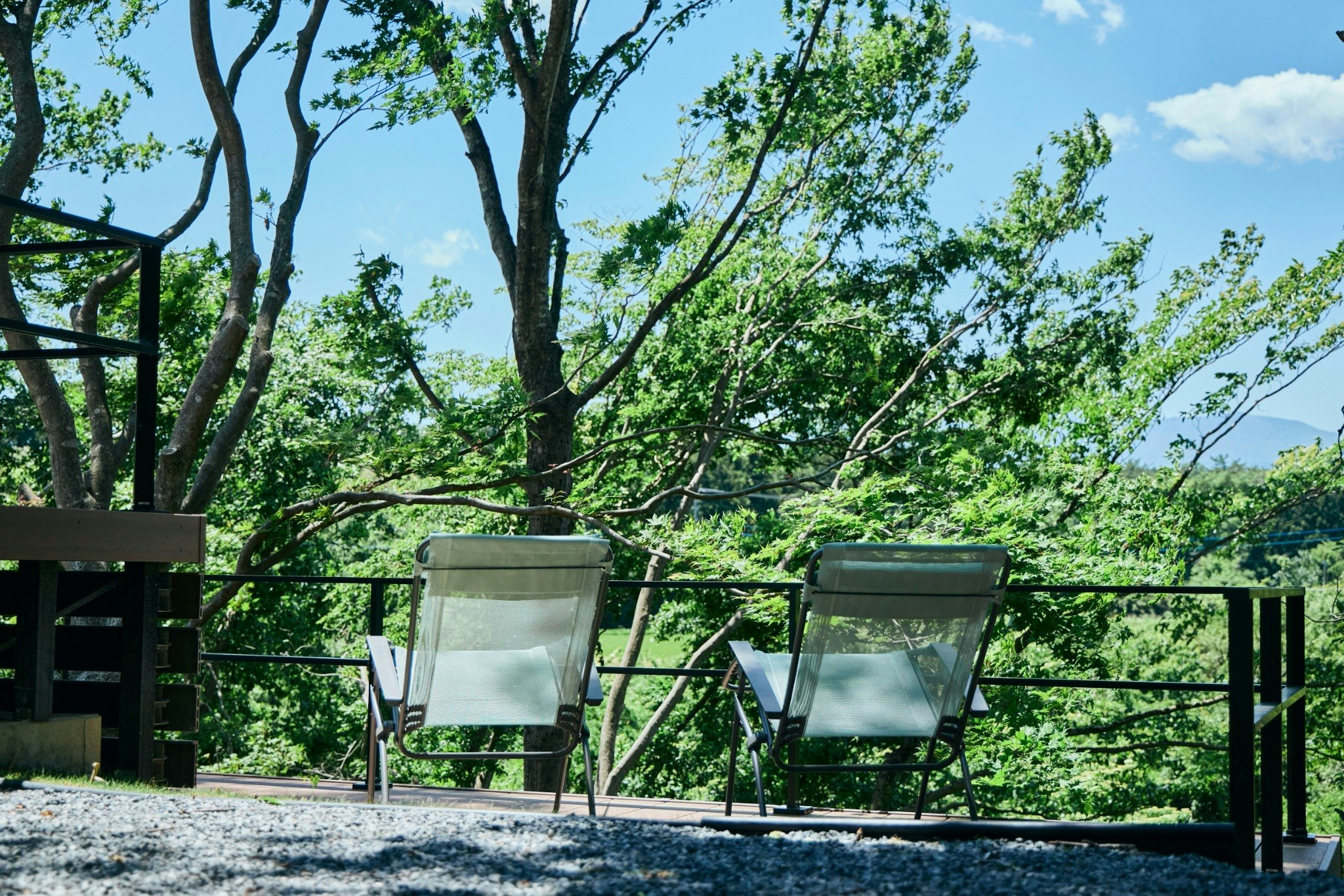 サウナ&BBQ&焚き火、せせらぎと森林浴のラグジュアリーヴィラ