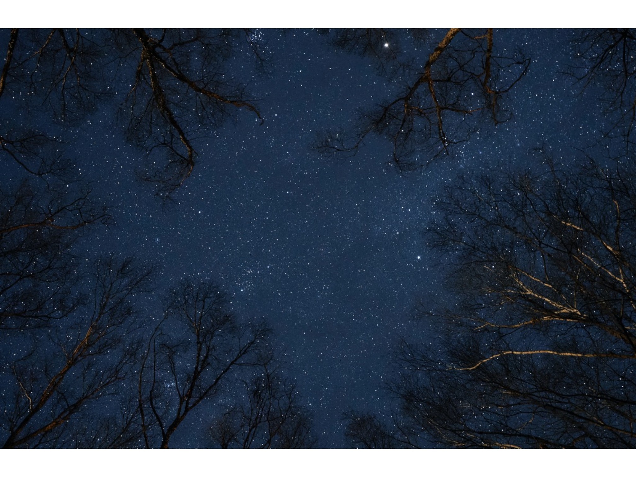 【禁煙】Hut -float- 薪ストーブがある池のほとりの暮らし