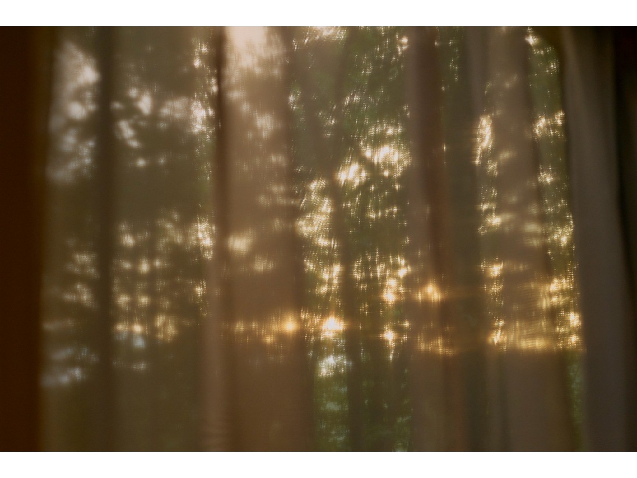 【禁煙】Hut -glow- プライベートサウナと浴室付き、西陽に輝く小さな家