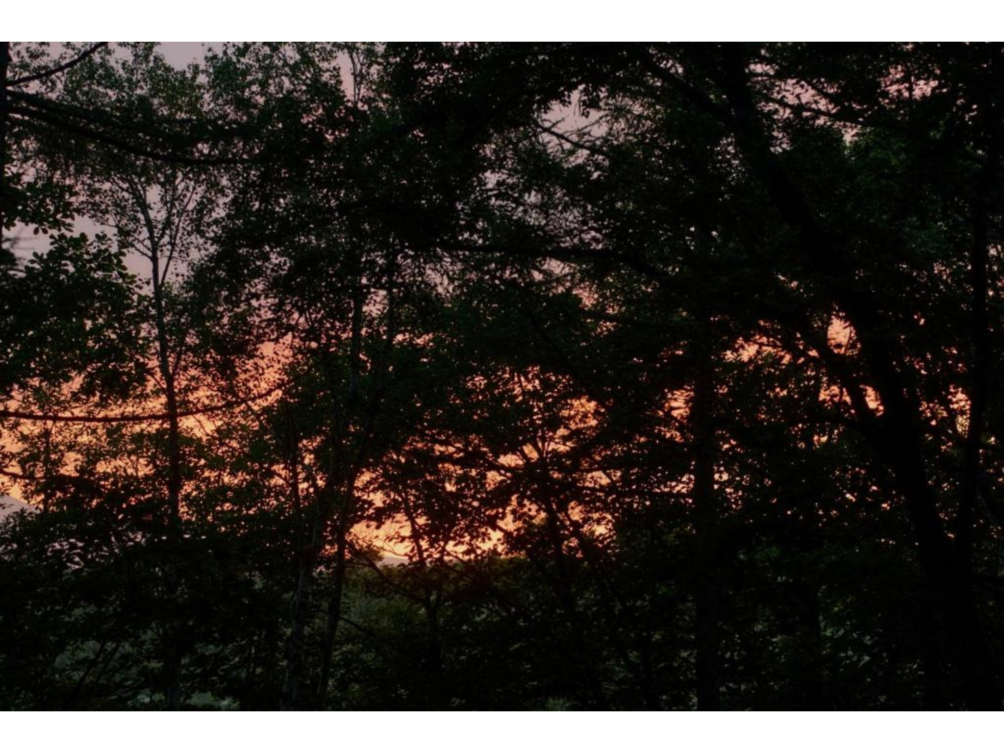 【禁煙】Hut -glow- プライベートサウナと浴室付き、西陽に輝く小さな家