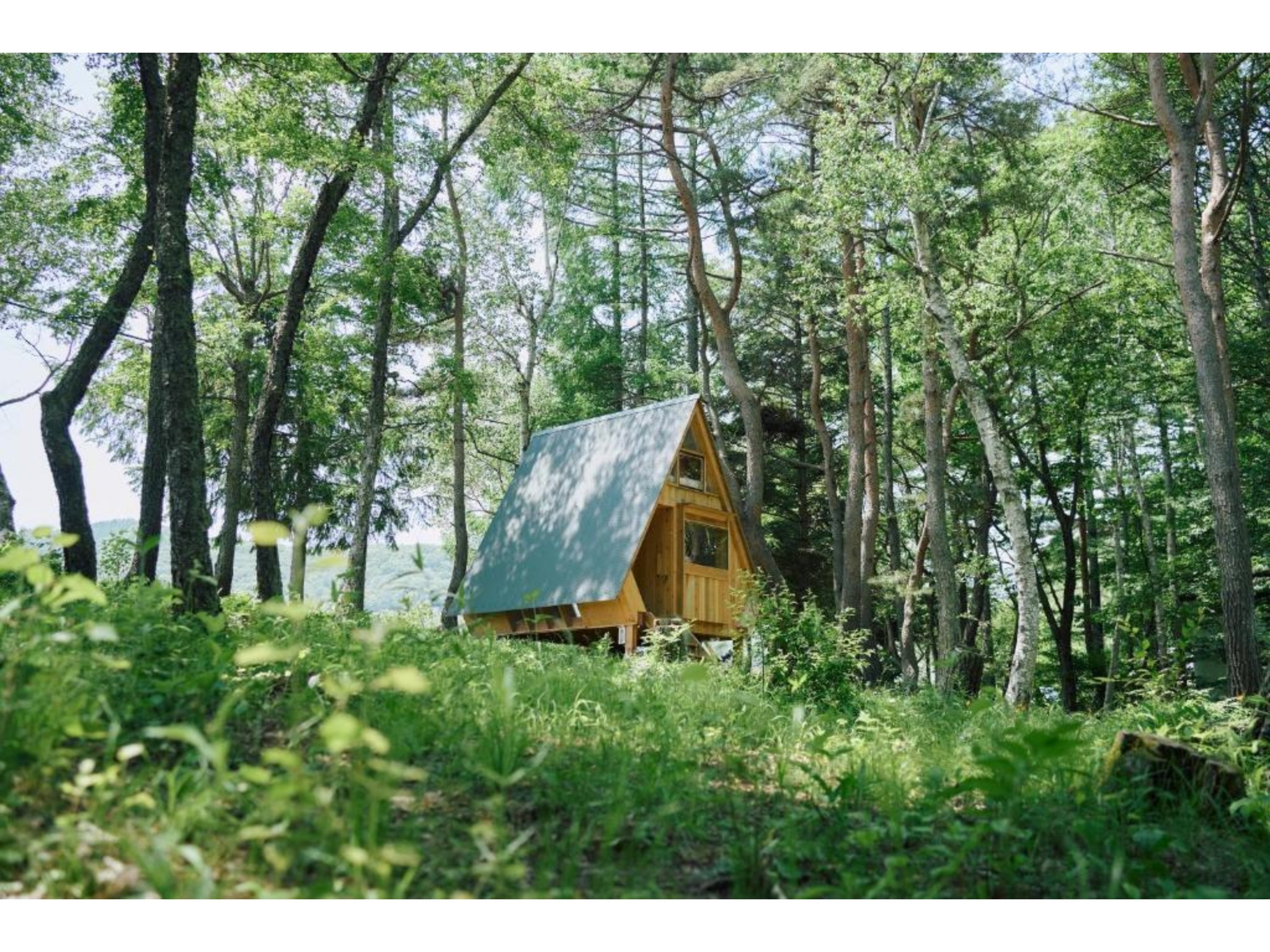 【禁煙】-Nutshell- 木の実の殻のようなキャビン