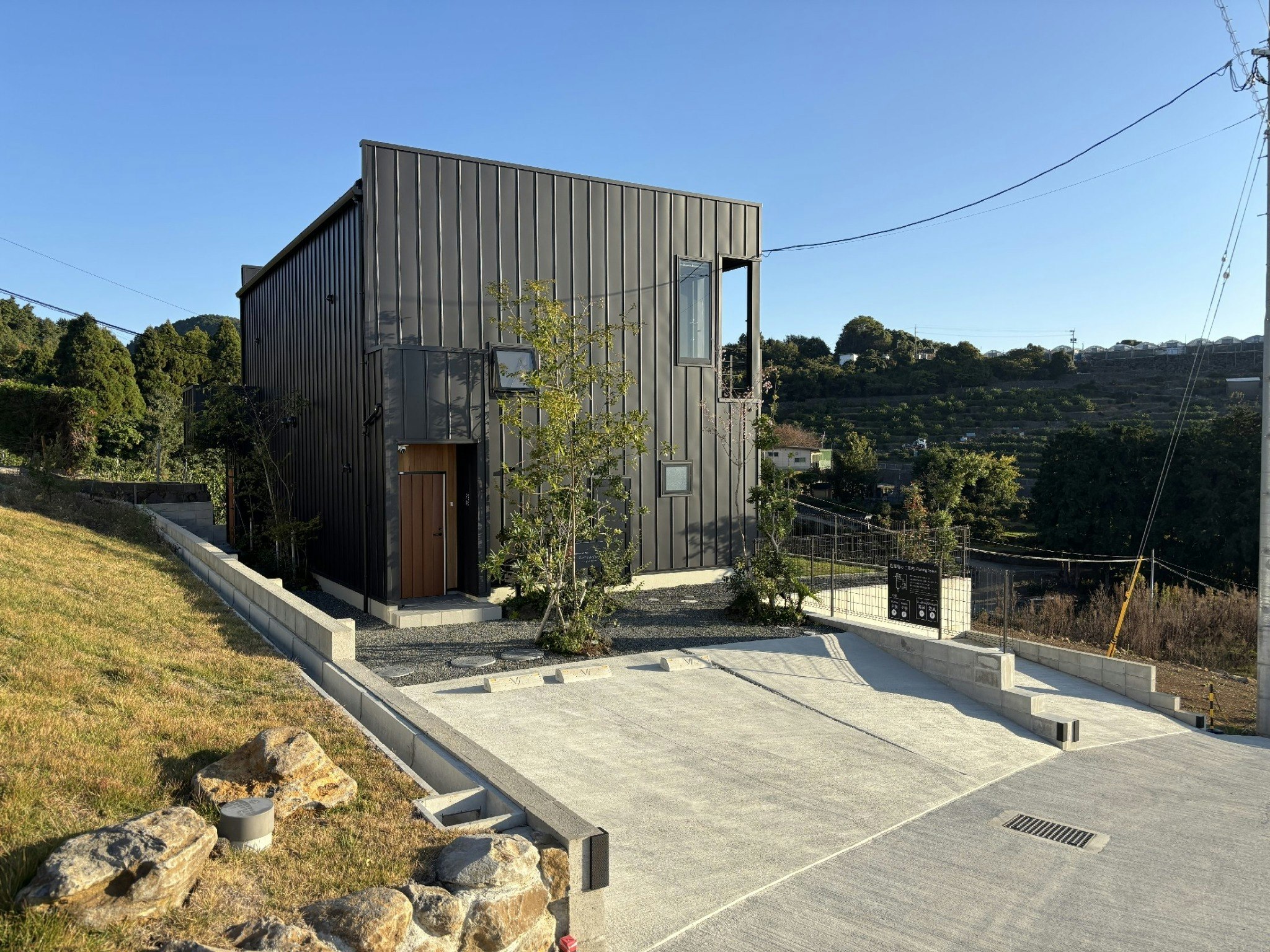 ひとめぼれ 夕映