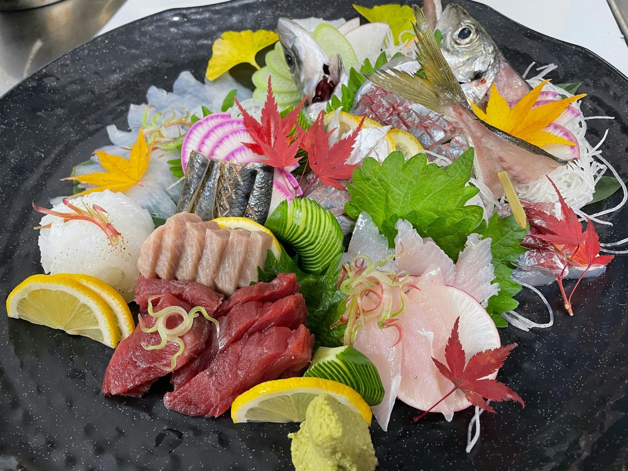 週末プラン⭐︎【夜・朝食付き】4月〜6月ワンちゃんと日本海を臨むグランピングでお泊まり