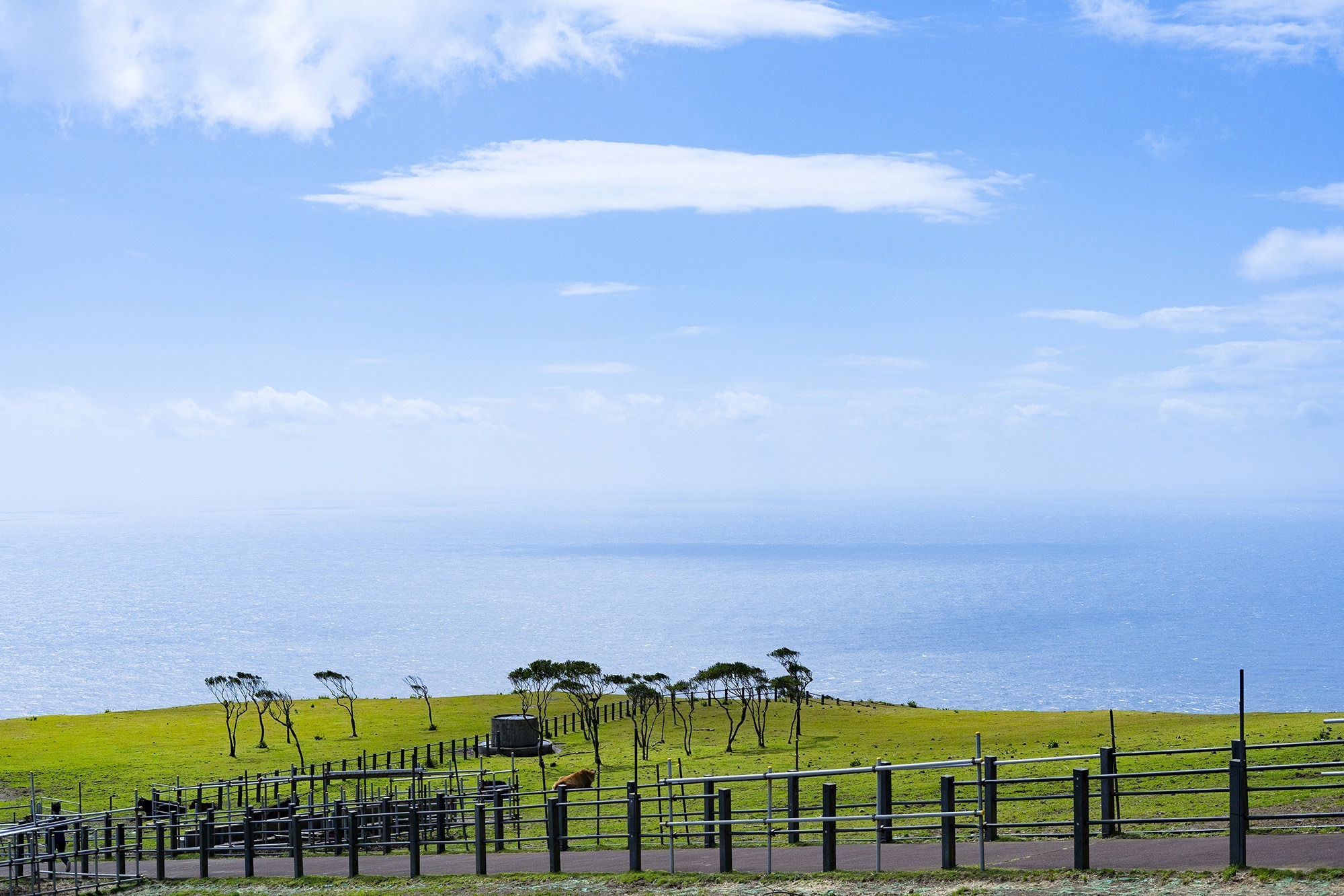 八丈島 ゲストハウス ブルーエイト/民泊のnull