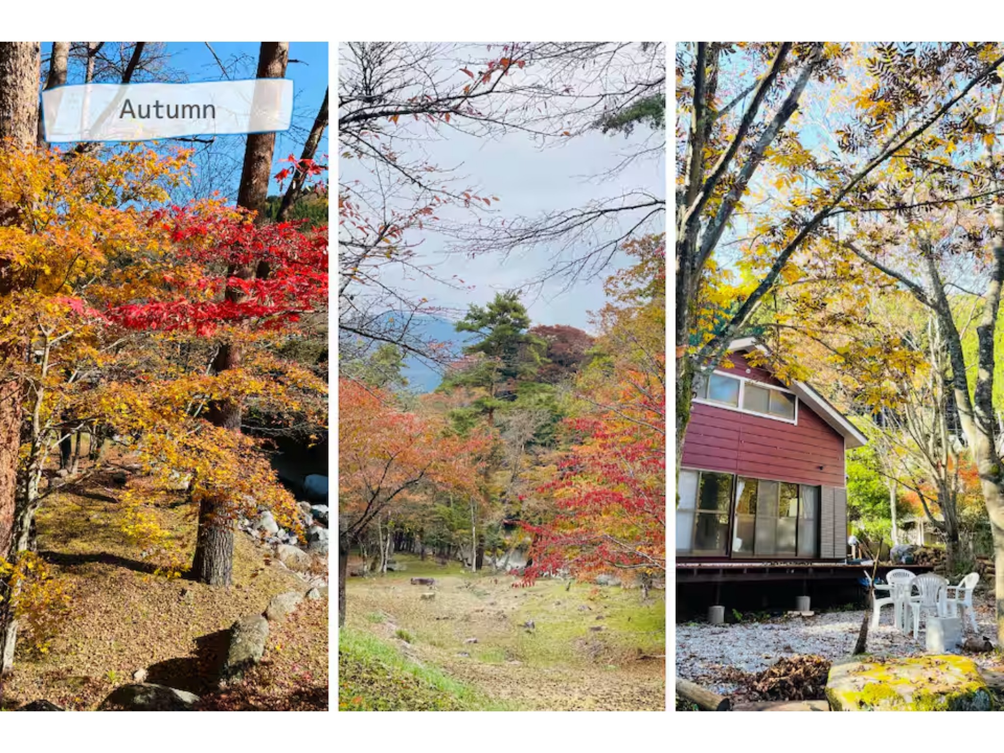 貸別荘 悠らり 山梨県 道志村 のnull
