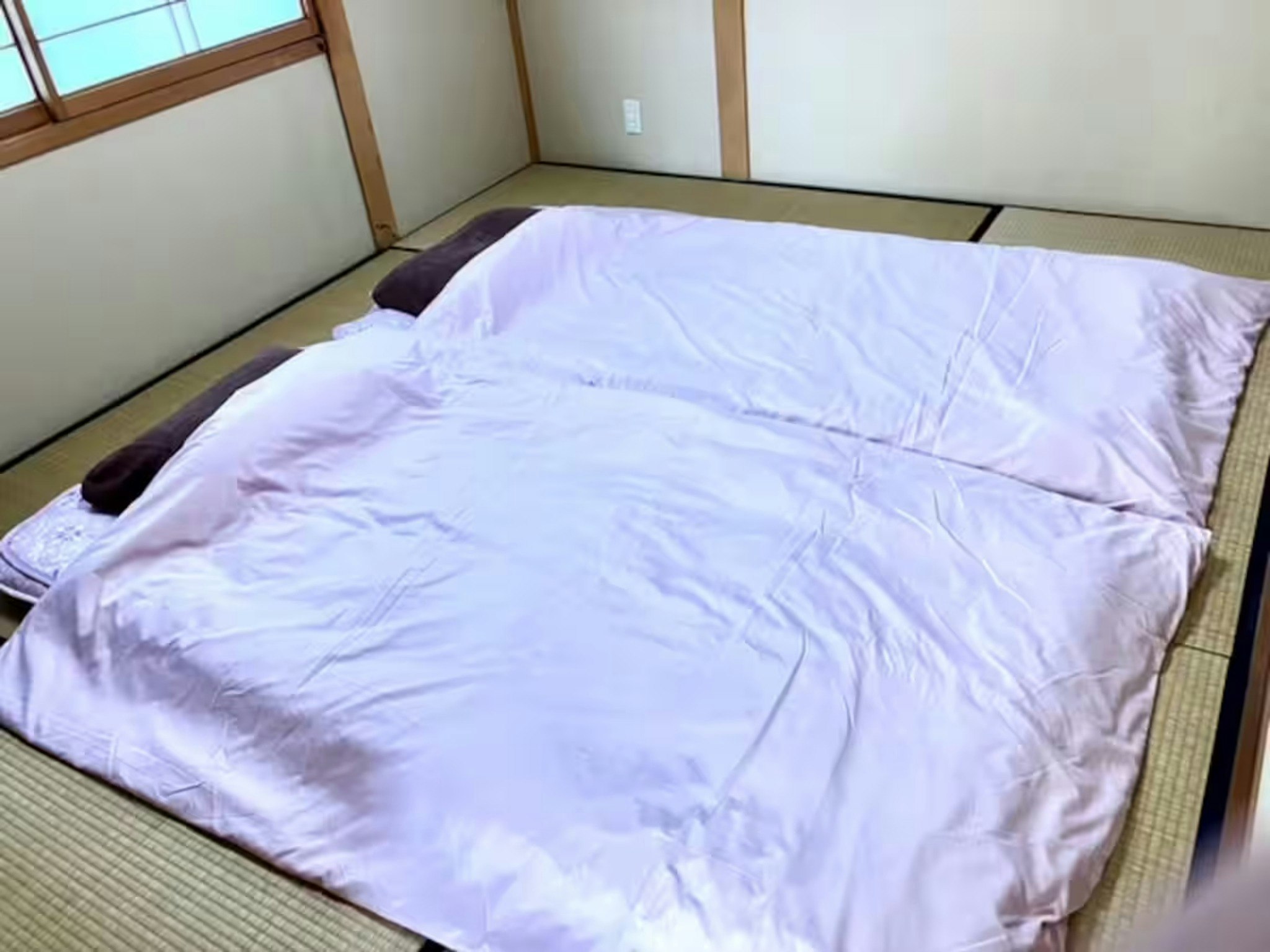 【男性のみの宿泊不可】無農薬野菜収穫体験とリトリートができる富山湾ときれいな星空が見える一軒家の和室