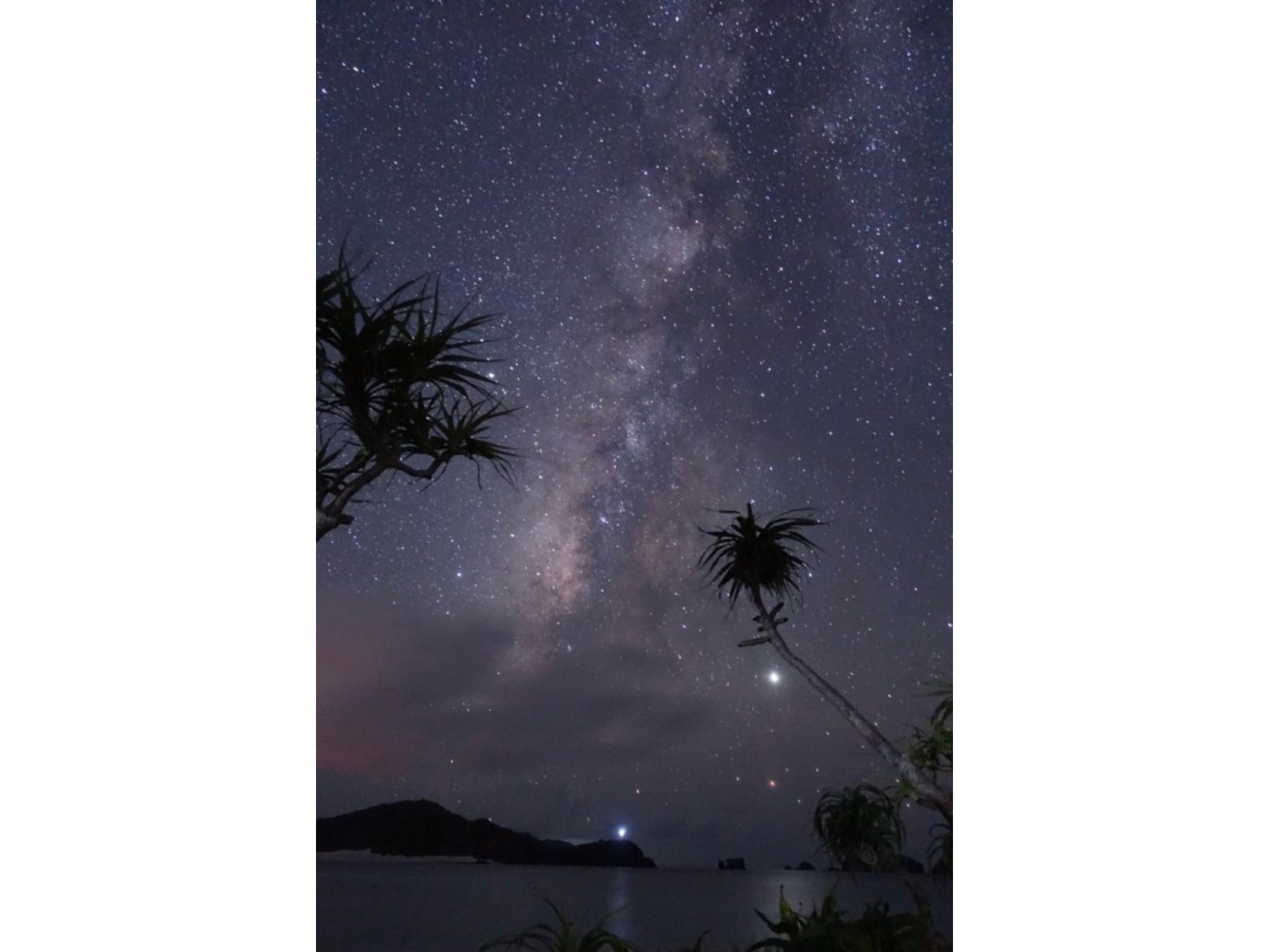 琉球古民家COCO のnull