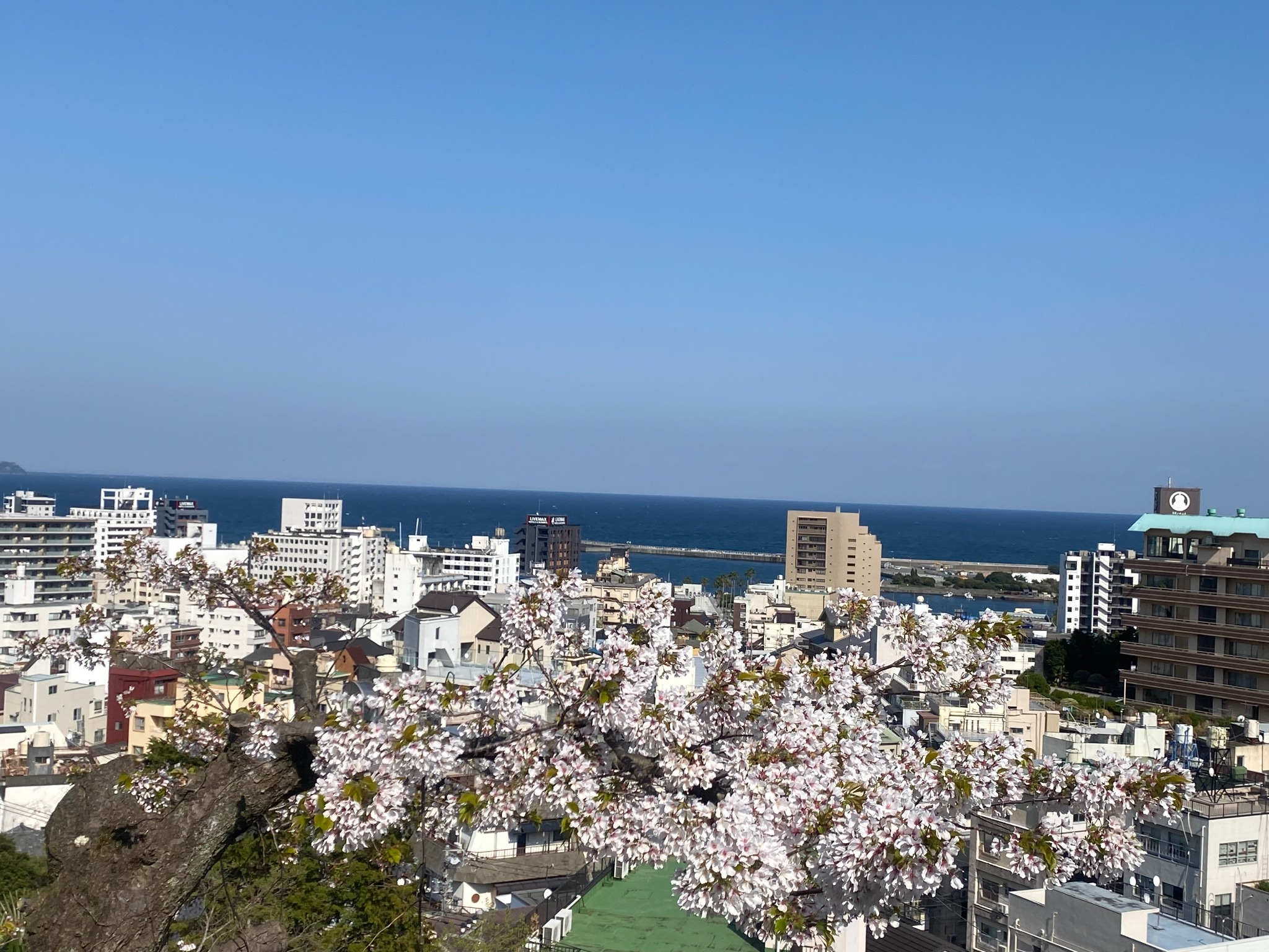 熱海オーシャンビュースパリゾートヴィラ(花火特等席/24hかけ流し天然温泉/テラスでBBQ)