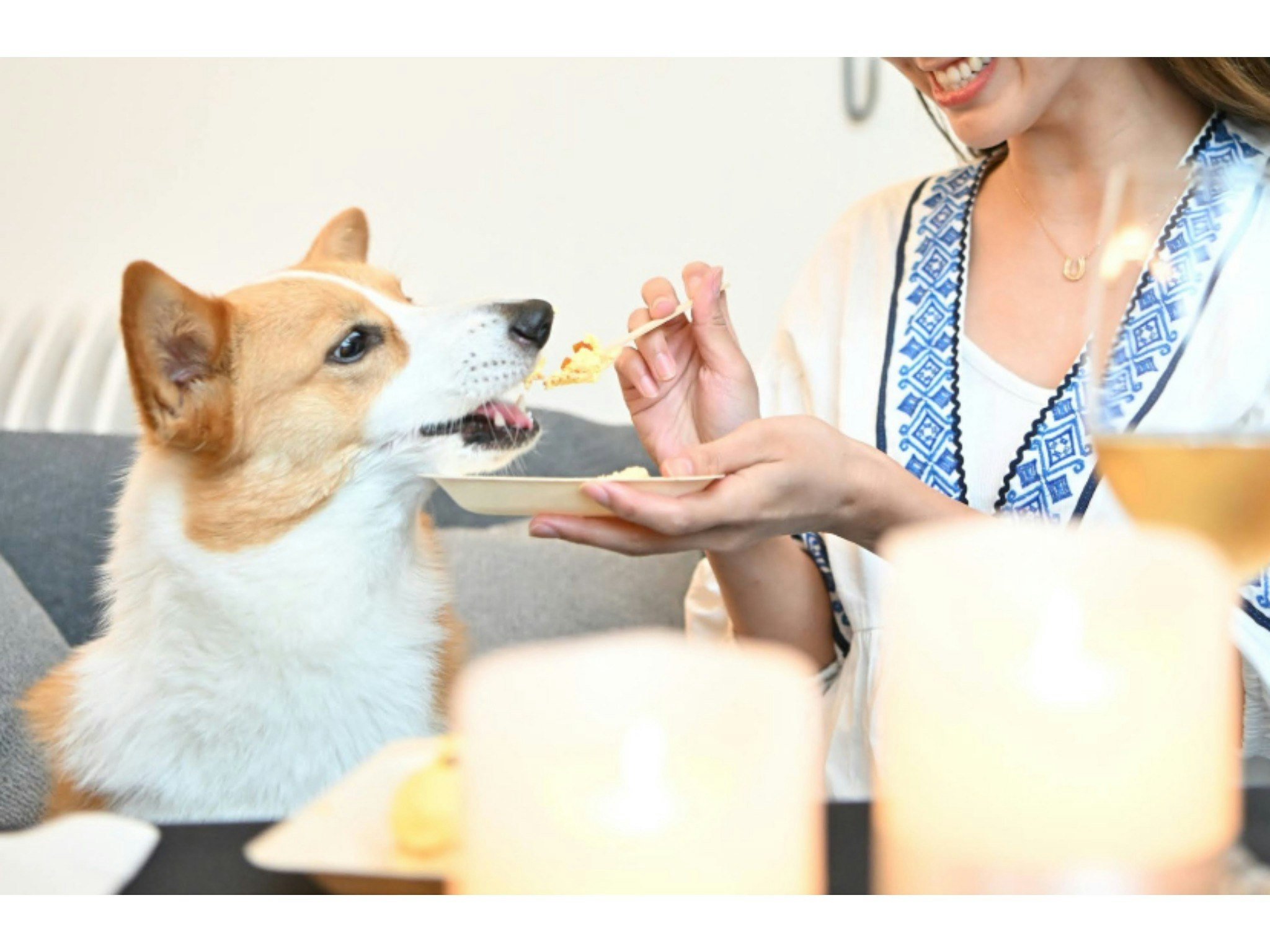 【禁煙】ポラリス(プレジデンシャルスイート)【愛犬の無添加ごちそう付きプラン】夕朝食付き