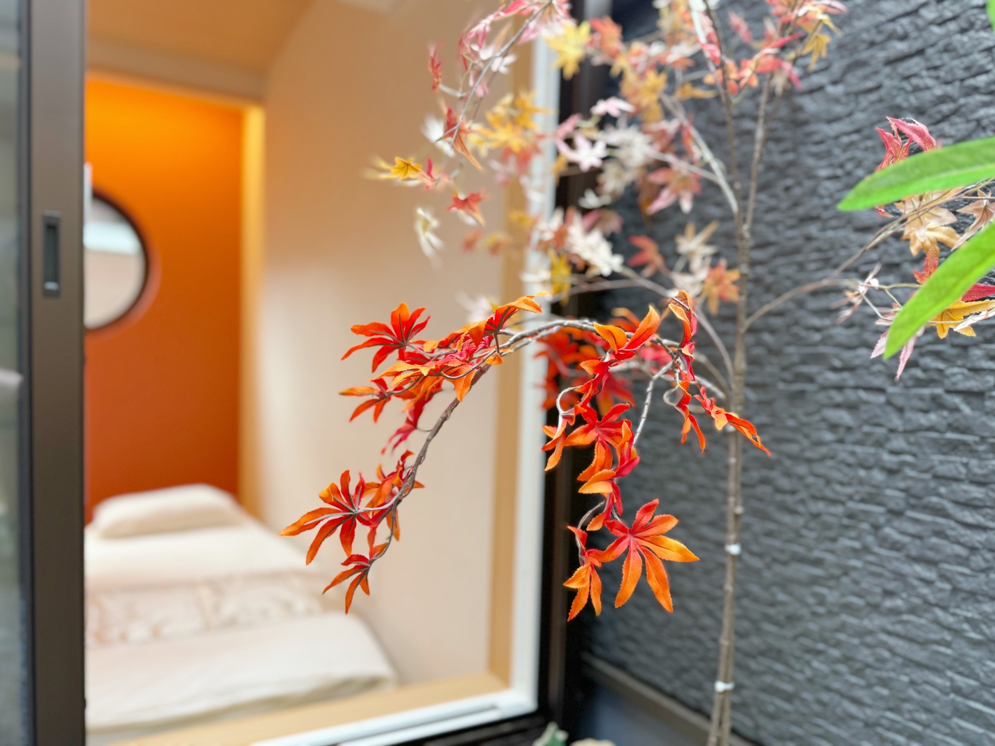 栄・華