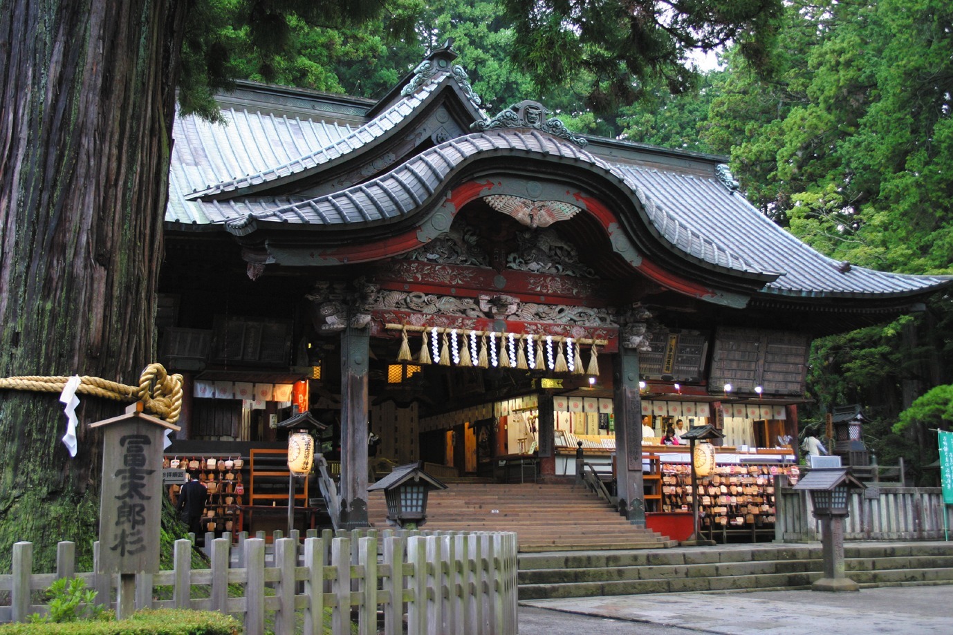 冨士太郎杉(北口本宮冨士浅間神社まで車で7分)
