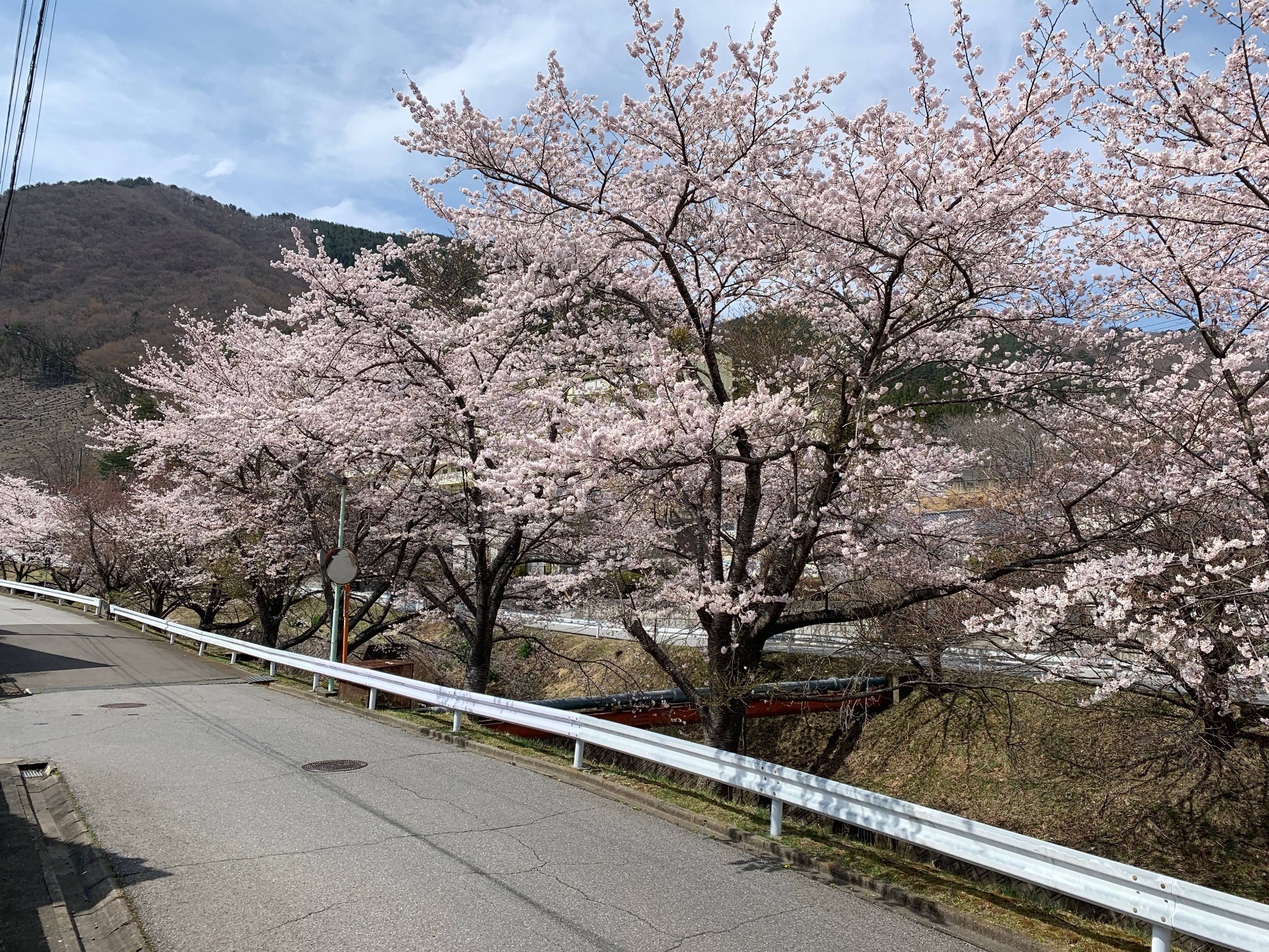 ヘイタハウス/民泊のnull