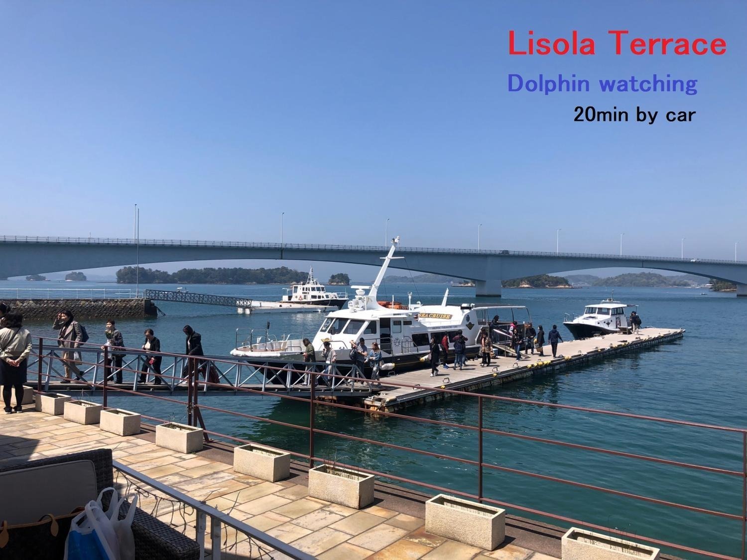 イルカウォッチング