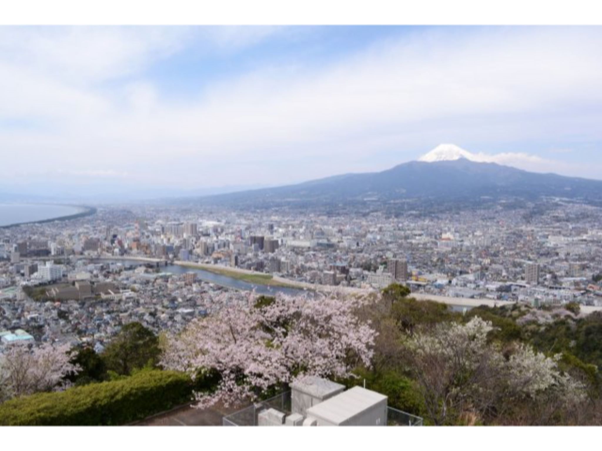 沼津港エリア内/ Numazu Port Side House/沼津観光の中心!伊豆観光の拠点! のnull