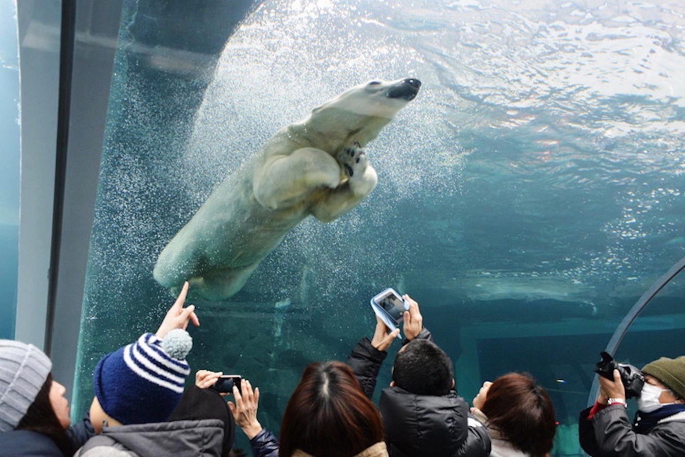 円山動物園