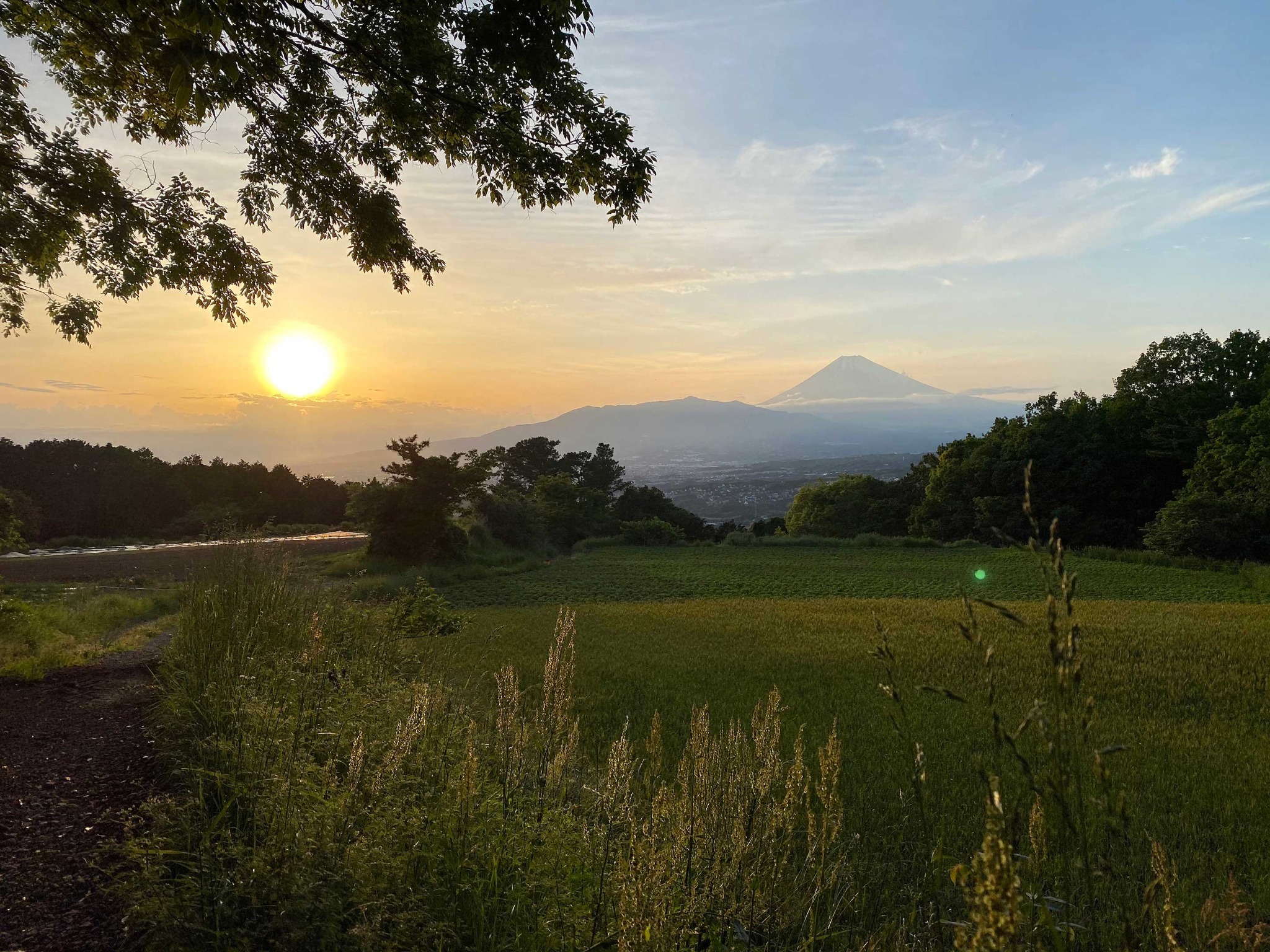 ・富士山を眺めながらのんびり散策してみてはいかがでしょうか