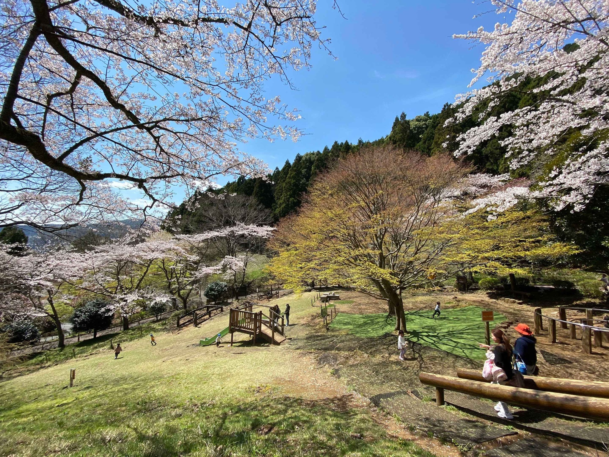 ・【周辺観光】姫の沢公園