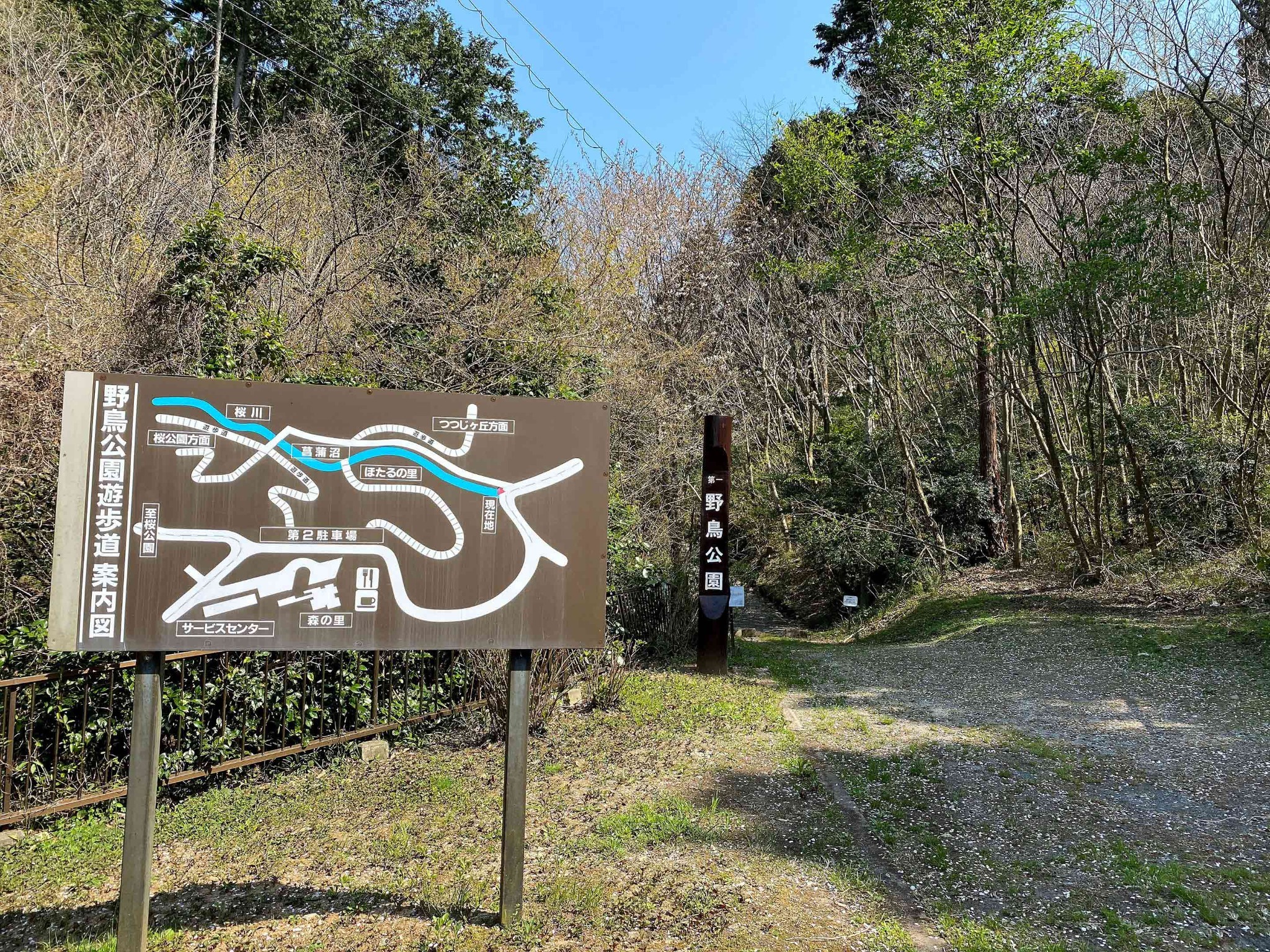 ・【周辺観光】野鳥公園 遊歩道