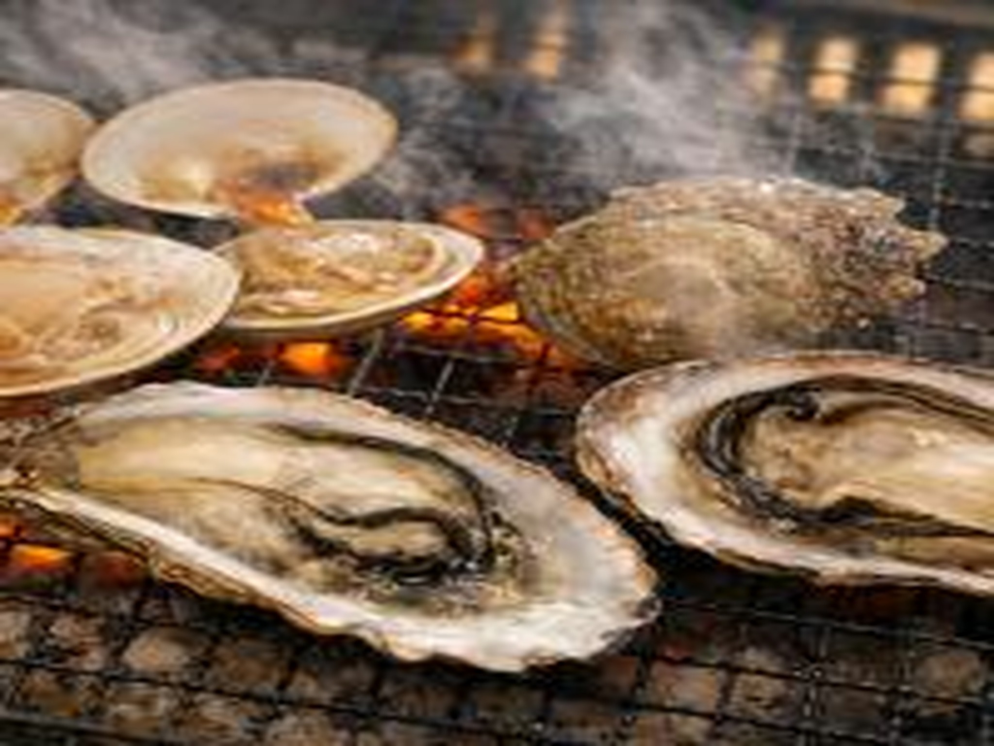 調理例 炭火焼き