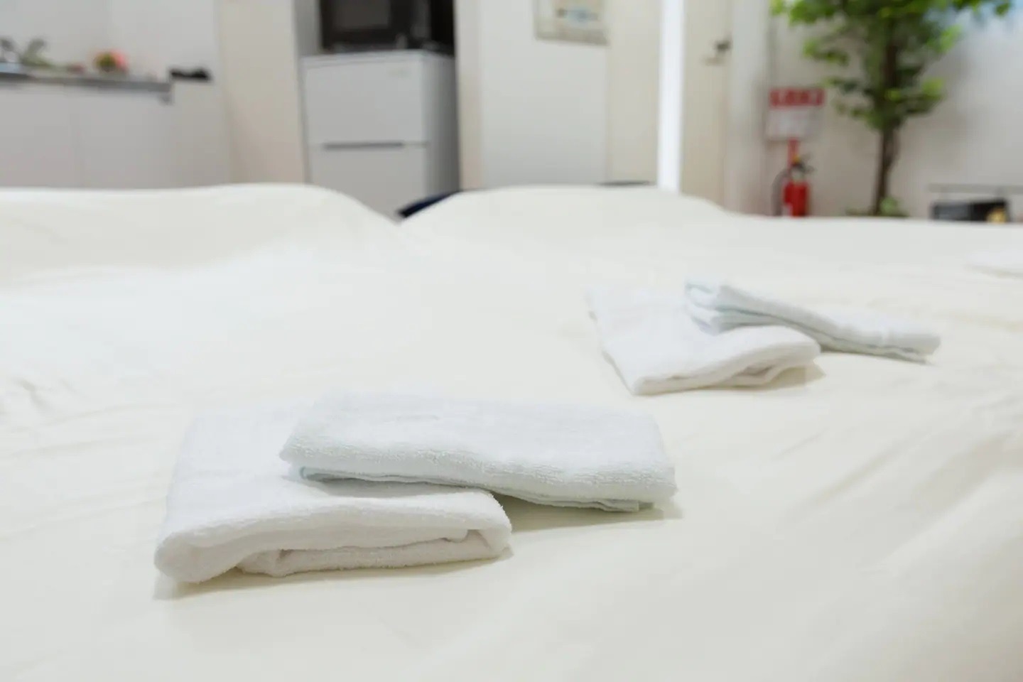 東向島戸建／民泊【Ｖａｃａｔｉｏｎ　ＳＴＡＹ提供】 写真3