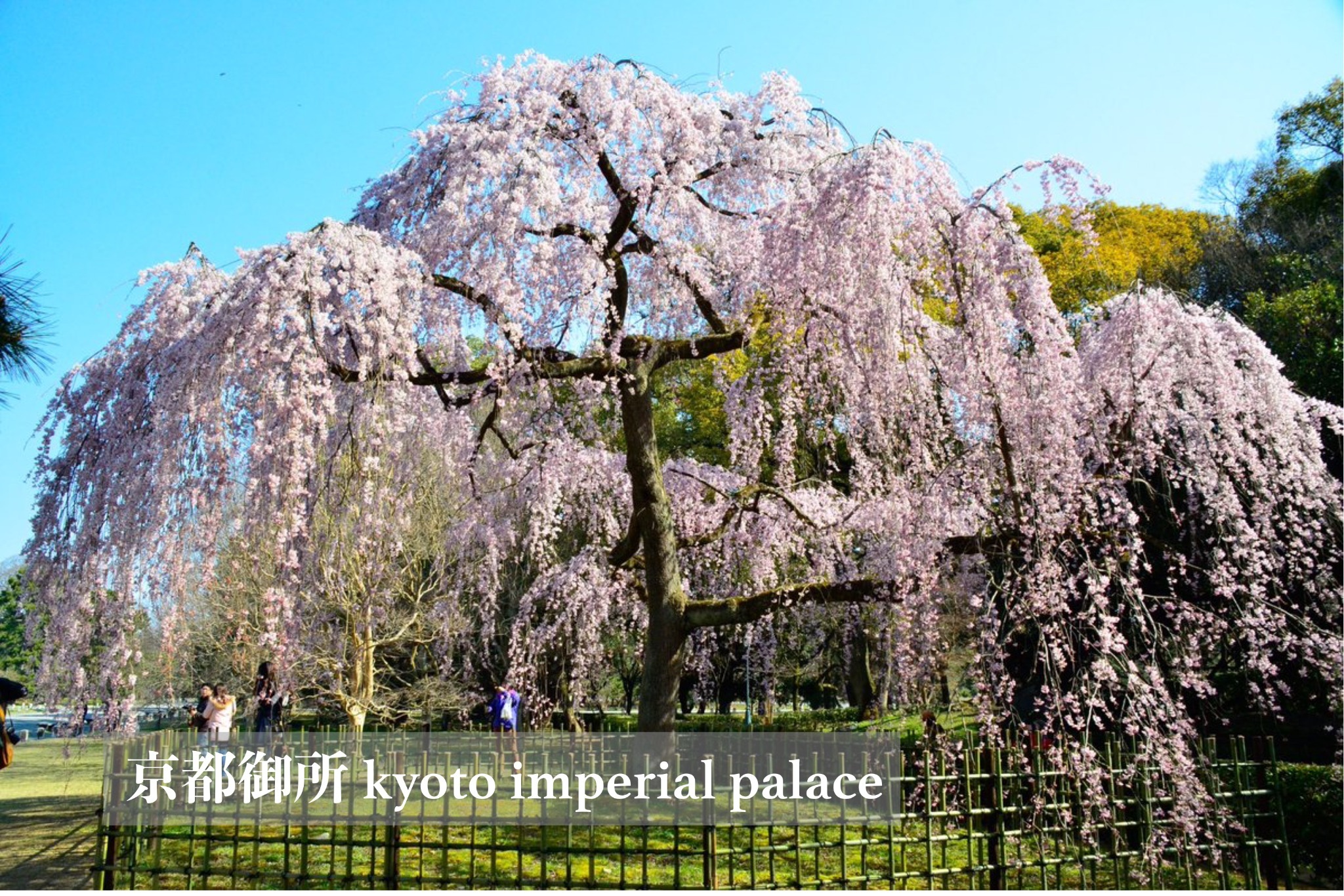 無料駐車場付きの一棟貸しで、ご家族・お友達とプライベートな京都旅行を。